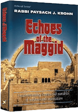 Echoes of the Maggid